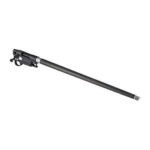Ruger 10/22 Receiver > Systeme mit Lauf - Vorschau